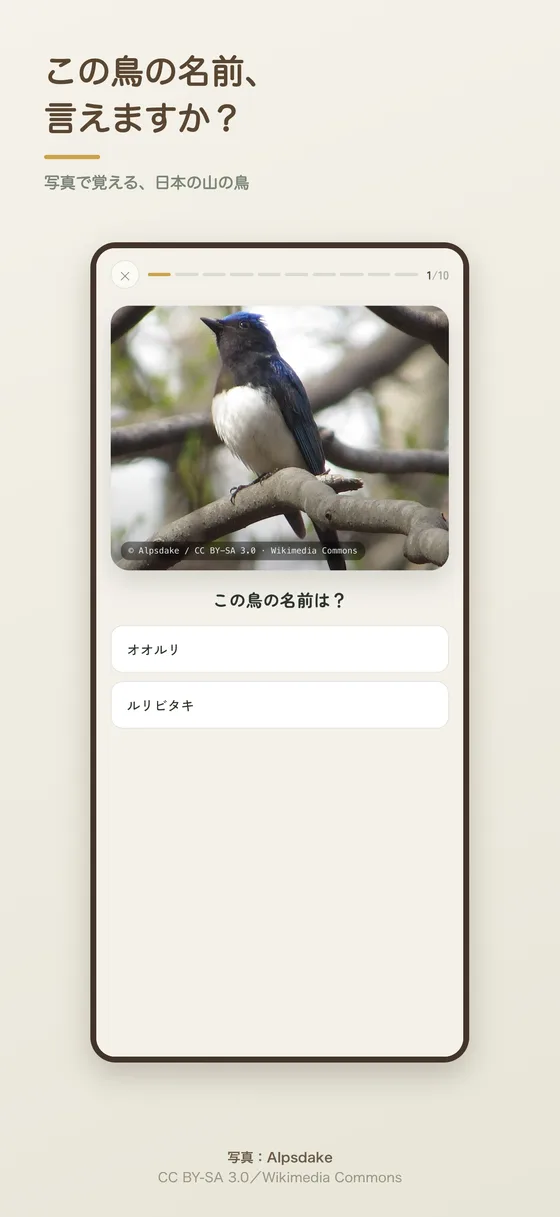 山の鳥名人のクイズ画面